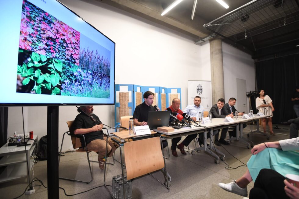 dezbatere lacul morii